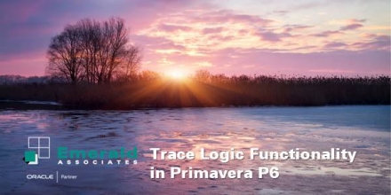 Trace Logic Functionality in Primavera P6